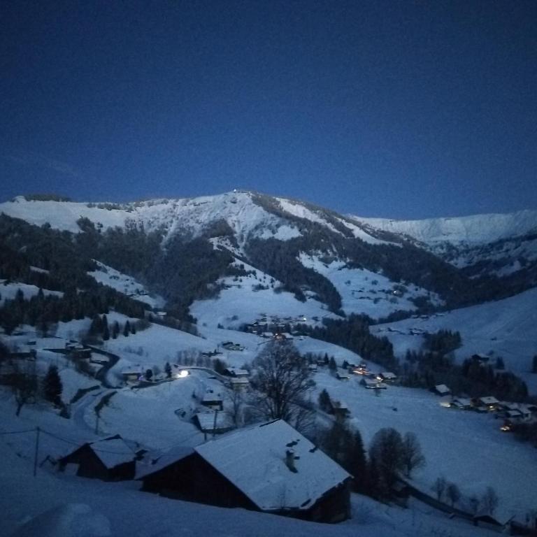 Demi Chalet Le LACHAT - Appartement 3 Chambres - 41