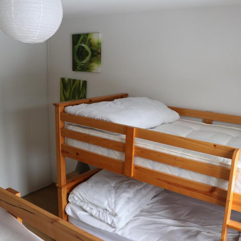 Deluxe Ski and Summer Apartment, Parking and WiFi - Deluxe Apartment - 21