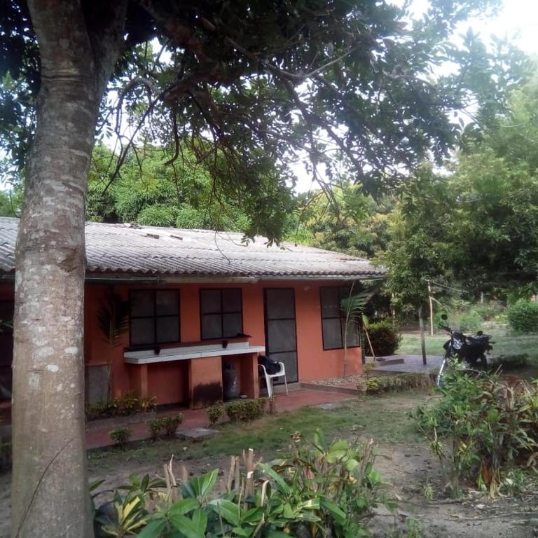 Hospedaje Eden - Tent - 3