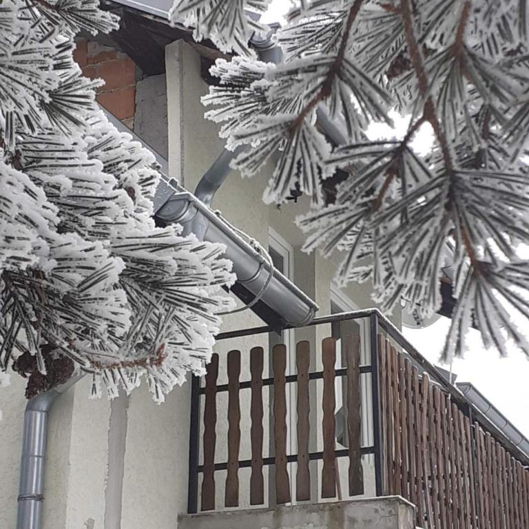 Apartman Rankovic - Apartman sa 1 Spavaćom Sobom - 14