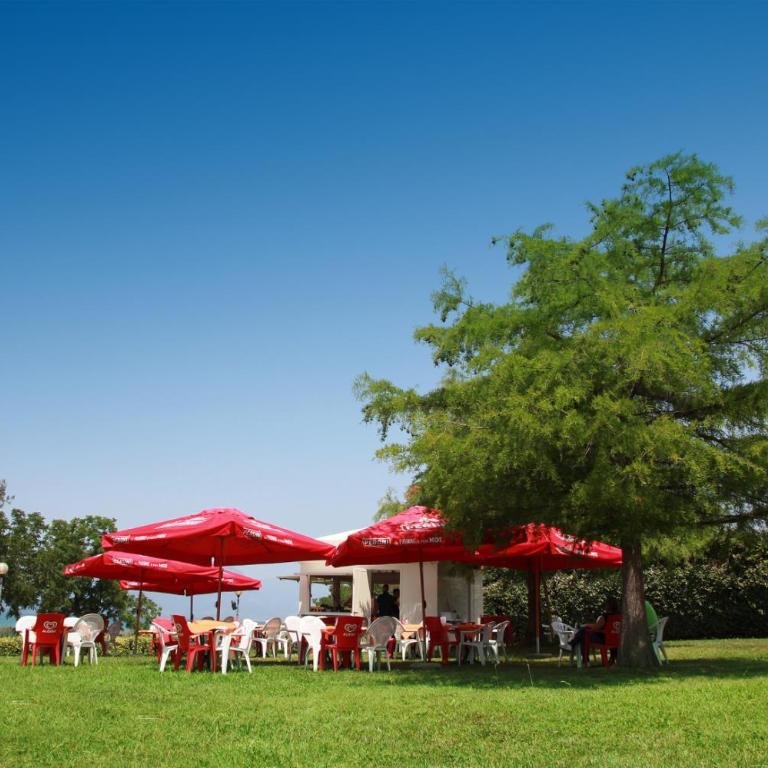 Bungalow 2 2 - Appartamento - 31