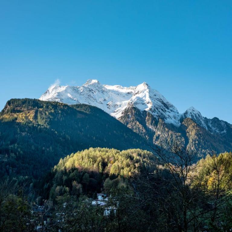Alpen Apart Michael - Apartment mit Blick auf die Berge - 4