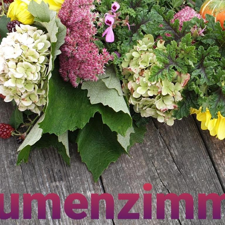 Huberhof im Almenland - Standard Doppelzimmer - 1