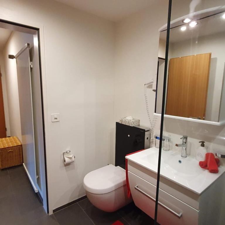 Chesa Blais - Apartment mit Balkon - 10