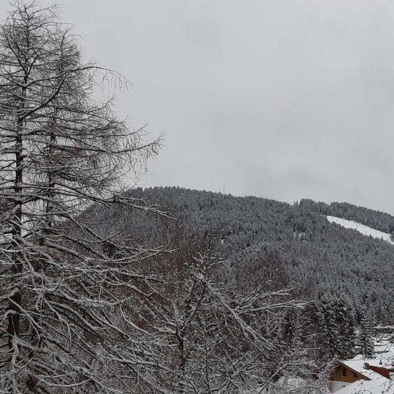 Suite Panoramablick Seefeld - Suite - 25