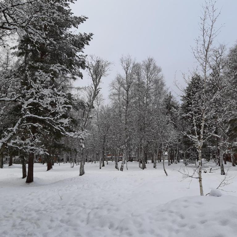 Suite Panoramablick Seefeld - Suite - 54