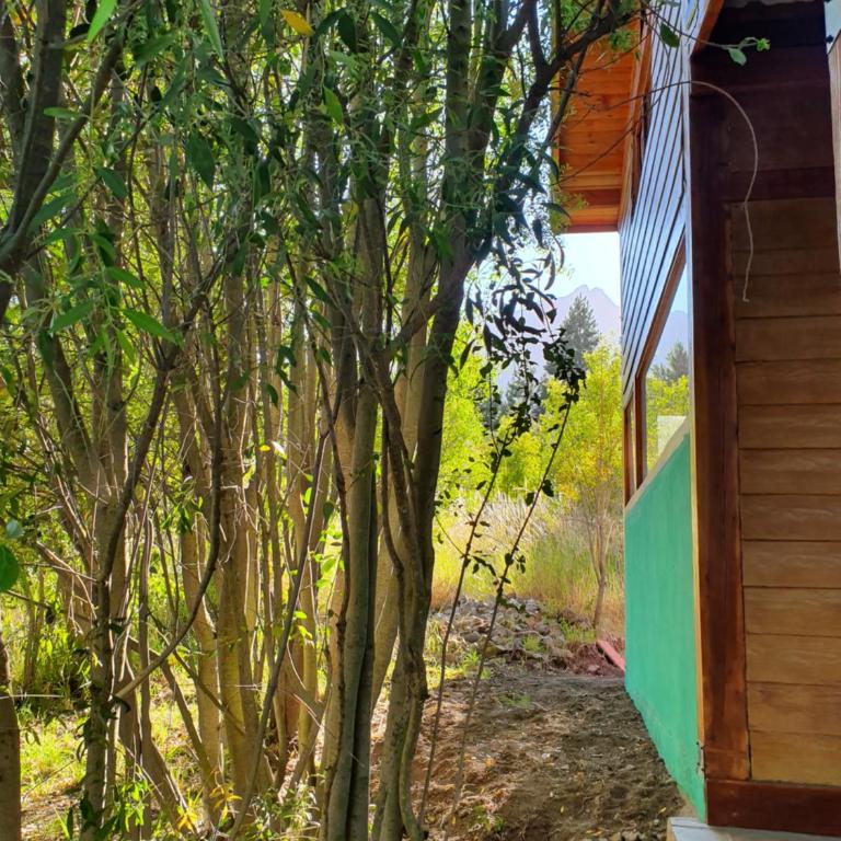 India Cabaña - One-Bedroom House - 8