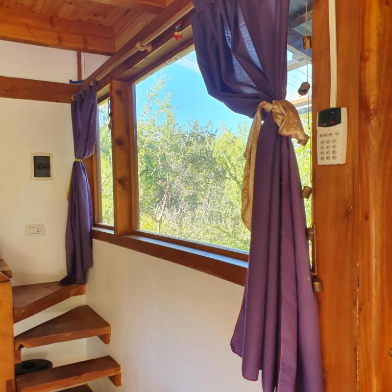 India Cabaña - One-Bedroom House - 22