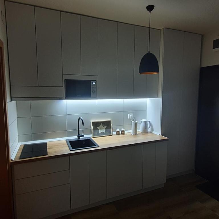 Wood Apartmani - Vila Zimska idila Jahorina - One-Bedroom Apartment - 11