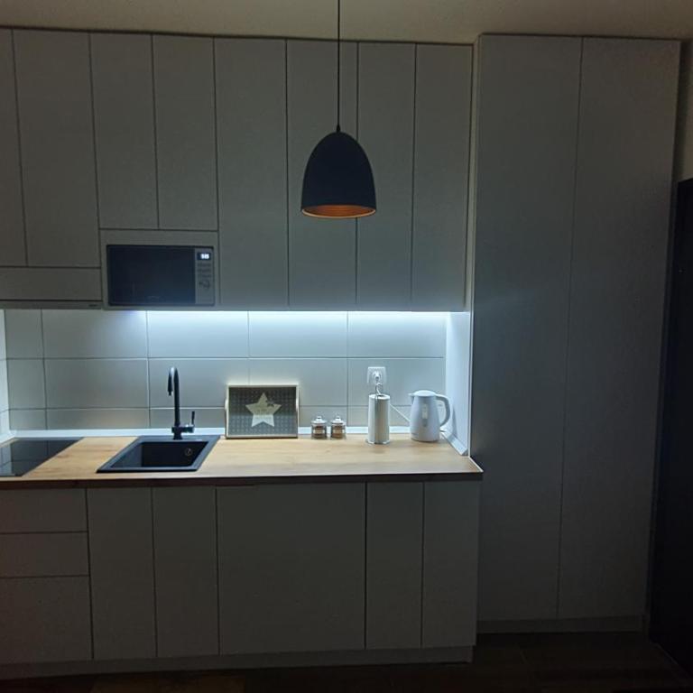 Wood Apartmani - Vila Zimska idila Jahorina - One-Bedroom Apartment - 13