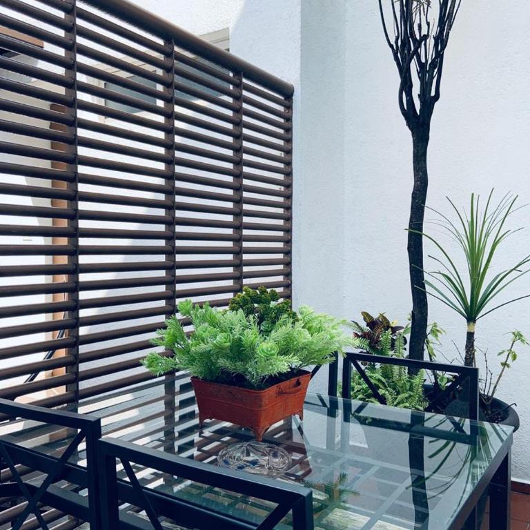 Residence Las Trojes Cdmx - Habitación Triple con terraza - 10