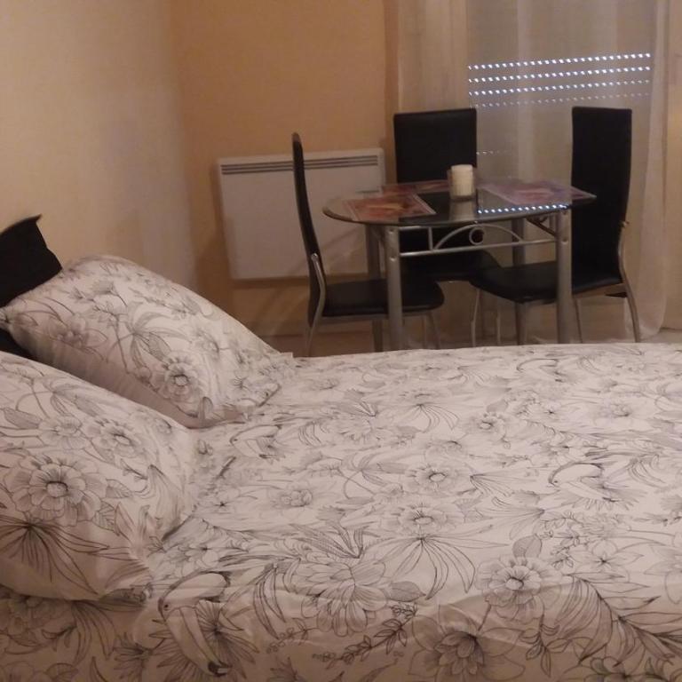 STUDIO 3mn A PIED DE LA PLAGE AVEC TERRASSE - Appartement 1 Chambre - 11