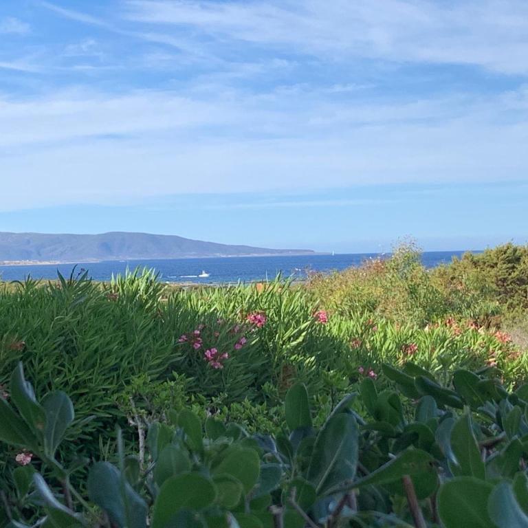Appartamento Sole e Mare - Camera Matrimoniale con Vista Parco - 1