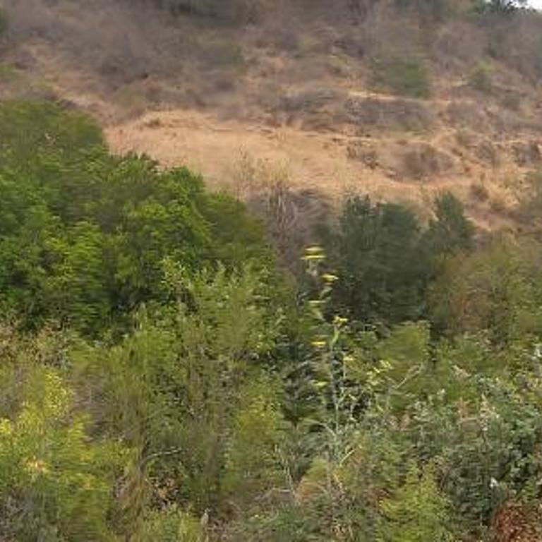 La Quebrada del Maitén - Two-Bedroom House - 13