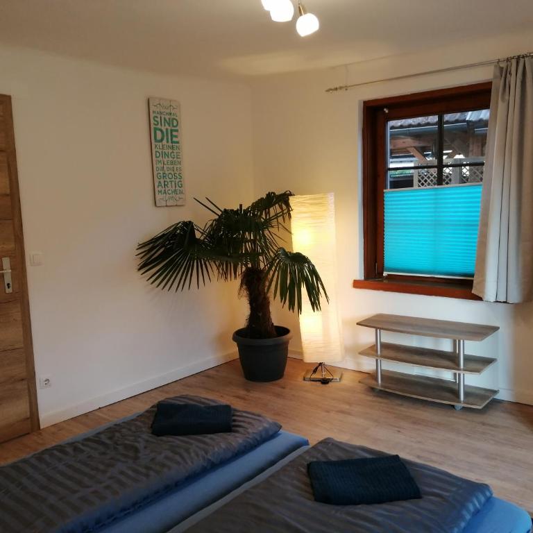 Parkweg Lodge - Apartment - Erdgeschoss - 12