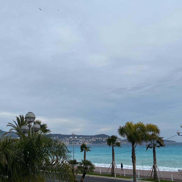 PALAIS ELISABETH PROMENADE DES ANGLAIS - Appartement 2 Chambres - 30