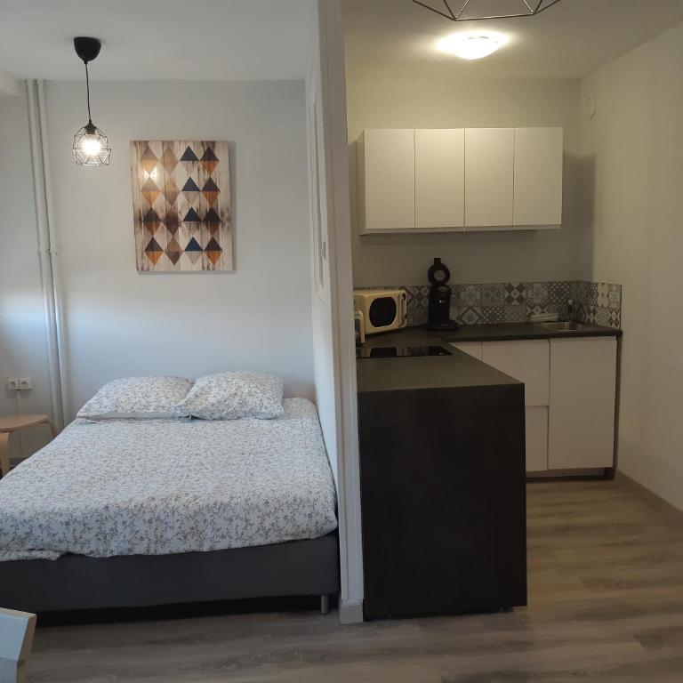 Le Chabin - Appartement 1 Chambre - 1