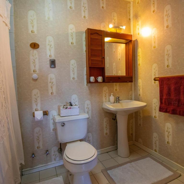 B&B Casa Amancay - Lago Ranco - Double or Twin Room with Lake View - 8