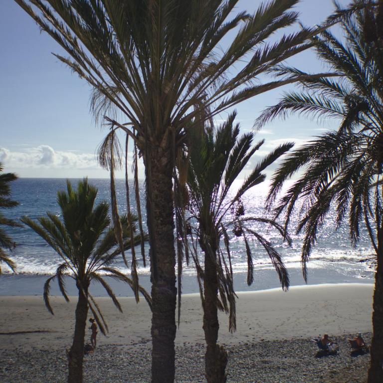 Bungalow frente al mar - Sun Club Playa del Aguila - Apartamento de 2 dormitorios - 14