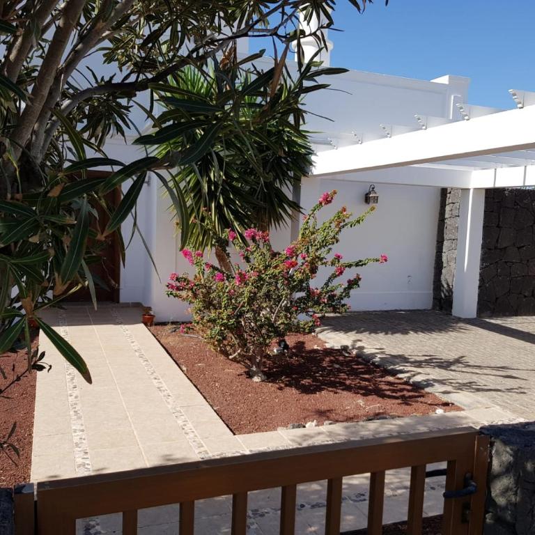 Villa Papagayo - Four-Bedroom House - 5