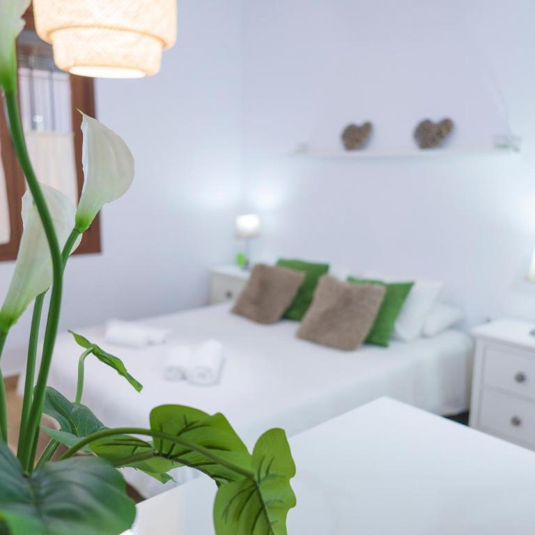NICE LOFT IN MáLAGA HISTORICAL CENTER - Studio Apartment - 4