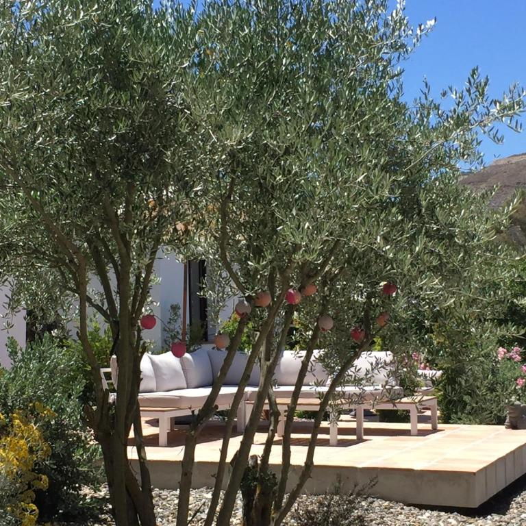 Casa Baliza, adults only - Deluxe King Suite - 1