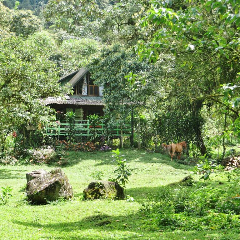 Mindo Eco Chalet con Rio y Cascada - Casa de 3 dormitorios - 1