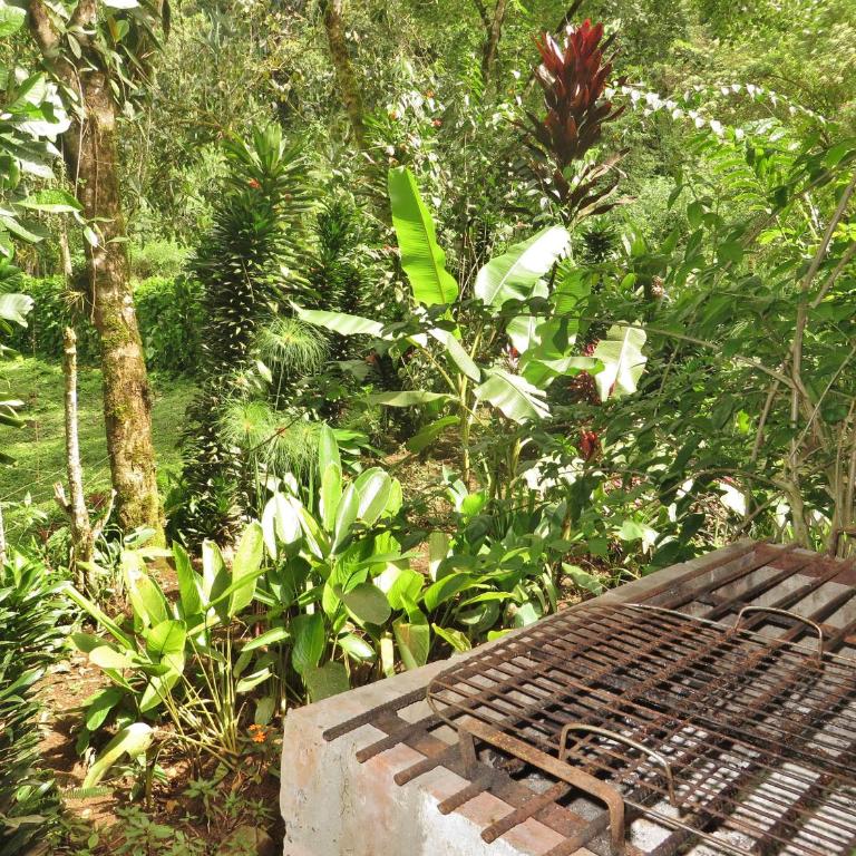 Mindo Eco Chalet, Rio y Cascadas - Three-Bedroom House - 23