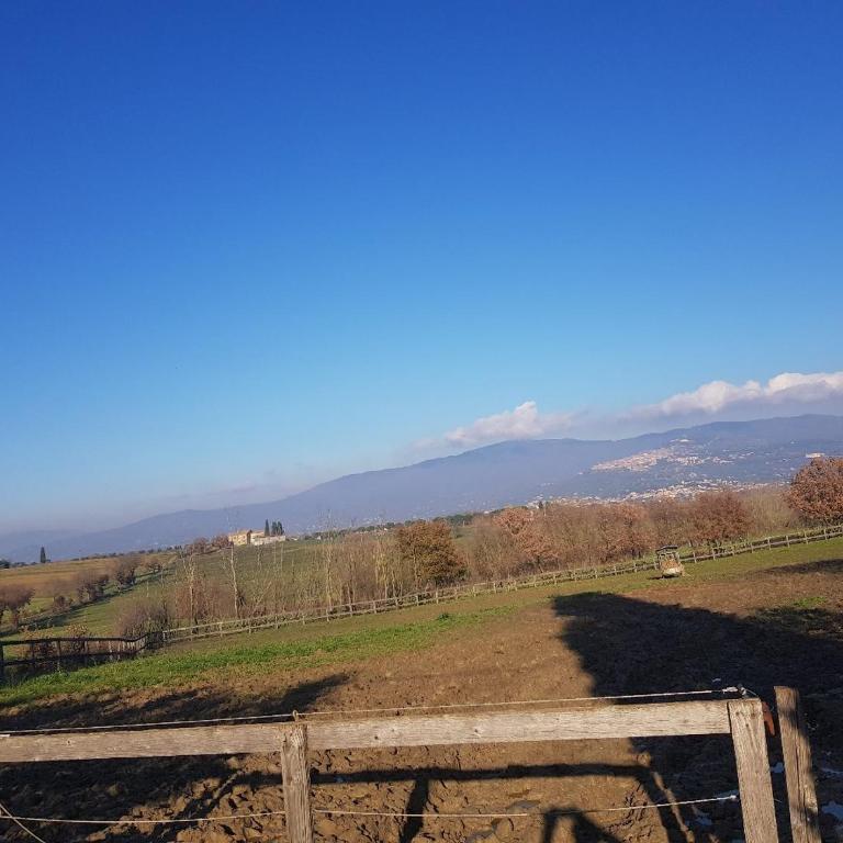 Cortona Gabolina e Turata Holiday Home - Casa con 2 Camere da Letto - 11