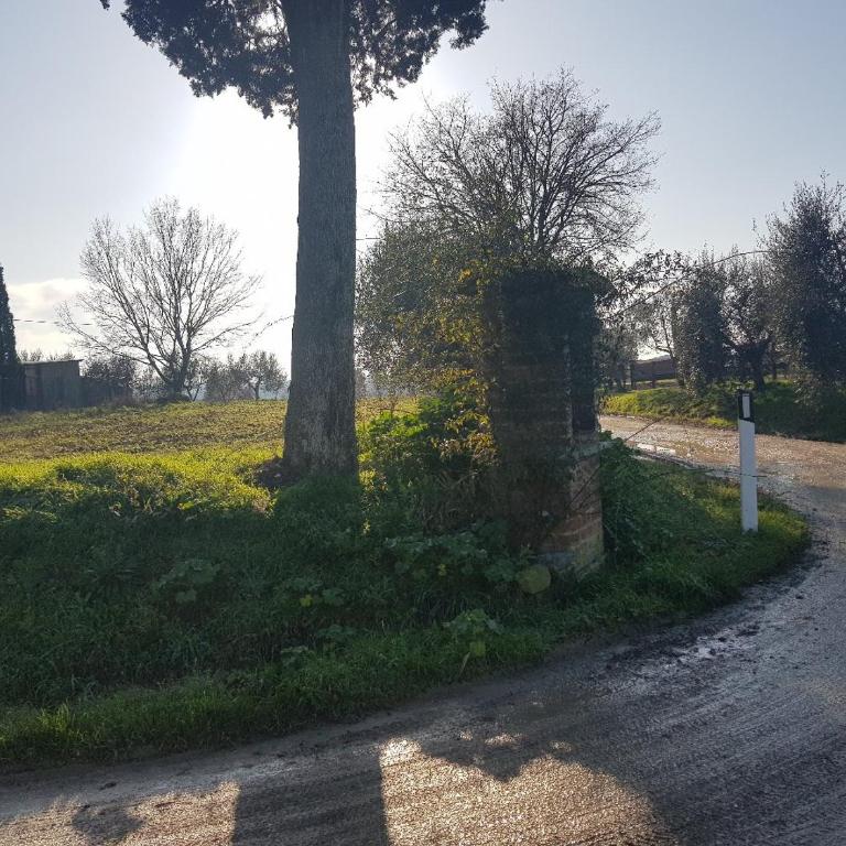 Cortona Gabolina e Turata Holiday Home - Casa con 2 Camere da Letto - 10