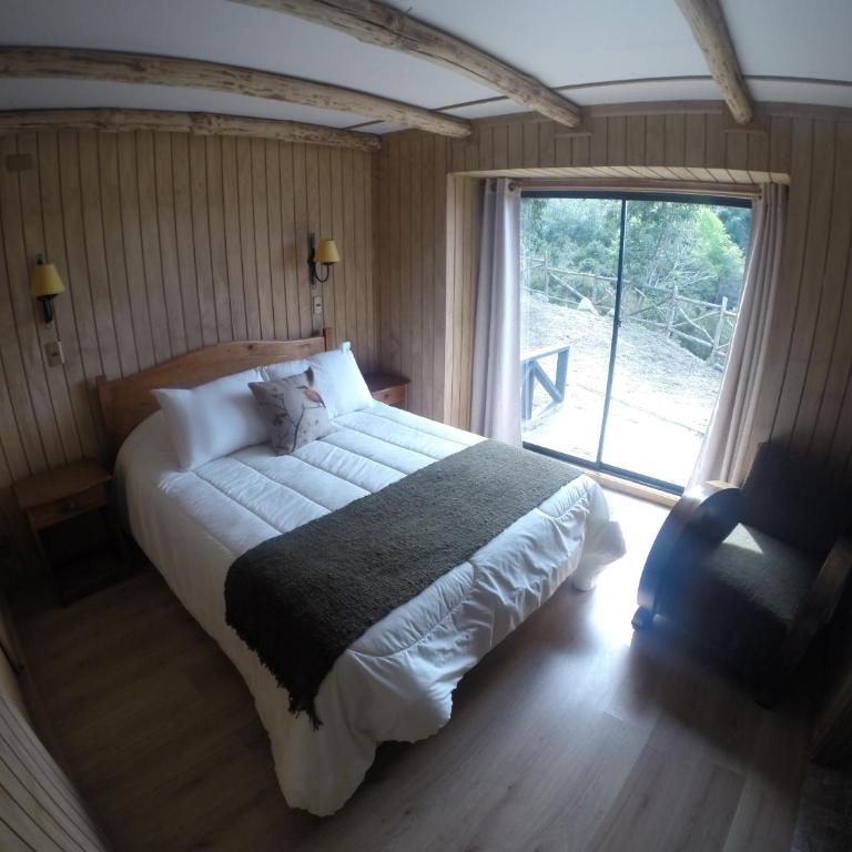 Turismo del Bosque - Cabaña Mediana 2 con vistas al océano - 10