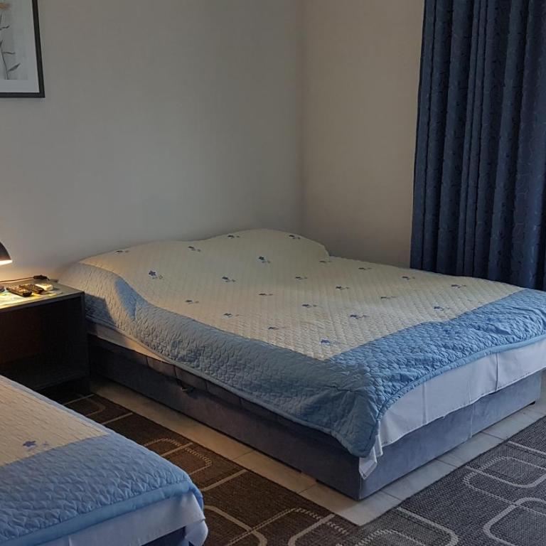Villa Jovanovic Sutomore - Deluks Studio sa Bračnim Krevetom (King-size) - 10