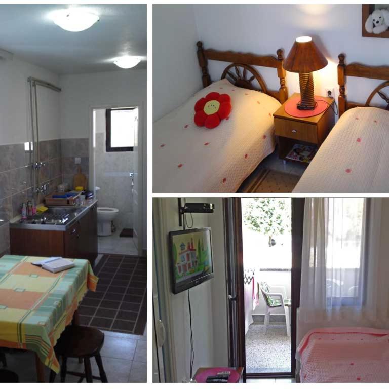 Villa Jovanovic Sutomore - Deluks Apartman - 9