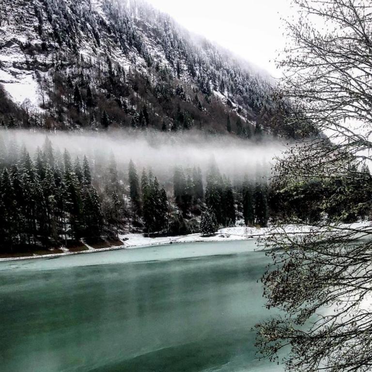 Micro-lodge, Le Petit Nid d'Amour - Kleines Chalet - 45
