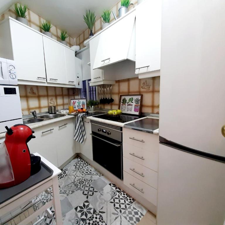 BOHEMIAN & SUITES CATEDRAL -parking - Apartamento de 3 dormitorios - 20