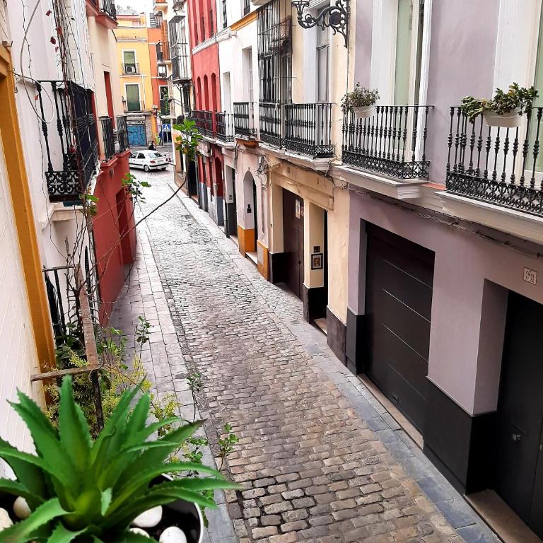 BOHEMIAN & SUITES CATEDRAL -parking - Apartamento de 3 dormitorios - 7