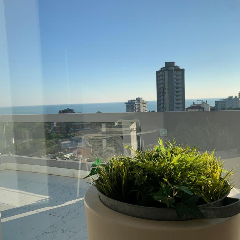 Penthouse Bellavista - Appartamento - 44