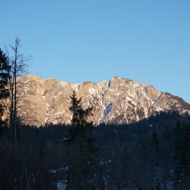 Jagerdichtlgut - Casa Vacanze - 17