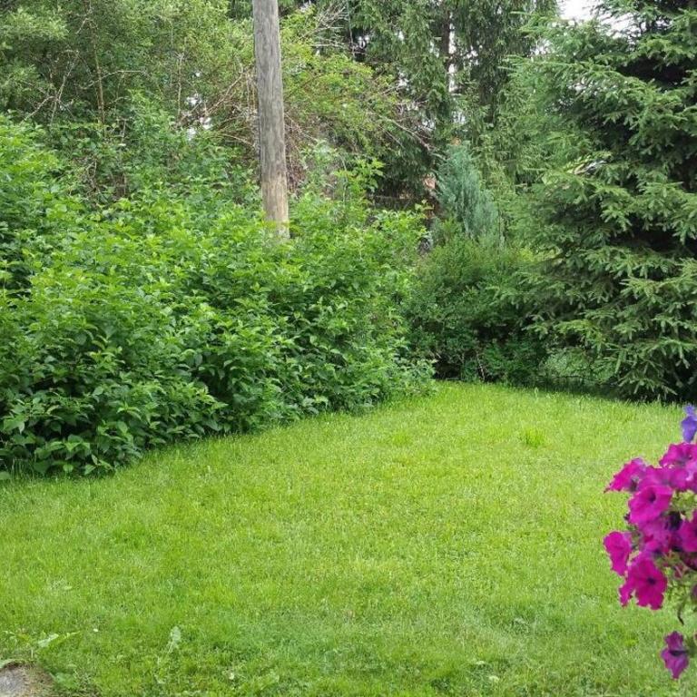 Ferienhaus Allgäu - Apartment mit 1 Schlafzimmer - 9
