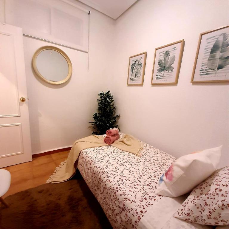 BOHEMIAN & SUITES CATEDRAL -parking - Apartamento de 3 dormitorios - 25