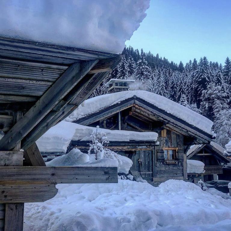 Chalet La Grange à Germaine - Propriétés Mont Amour - Chalet 5 Chambres - 1