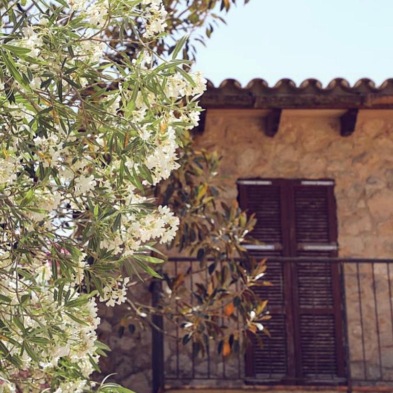 Finca Ses Eres - Casa de 5 dormitorios - 43