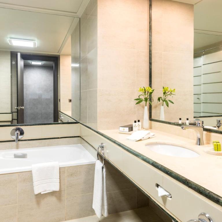 InterContinental Santiago by IHG - Habitación Doble Deluxe - 2 camas - 1