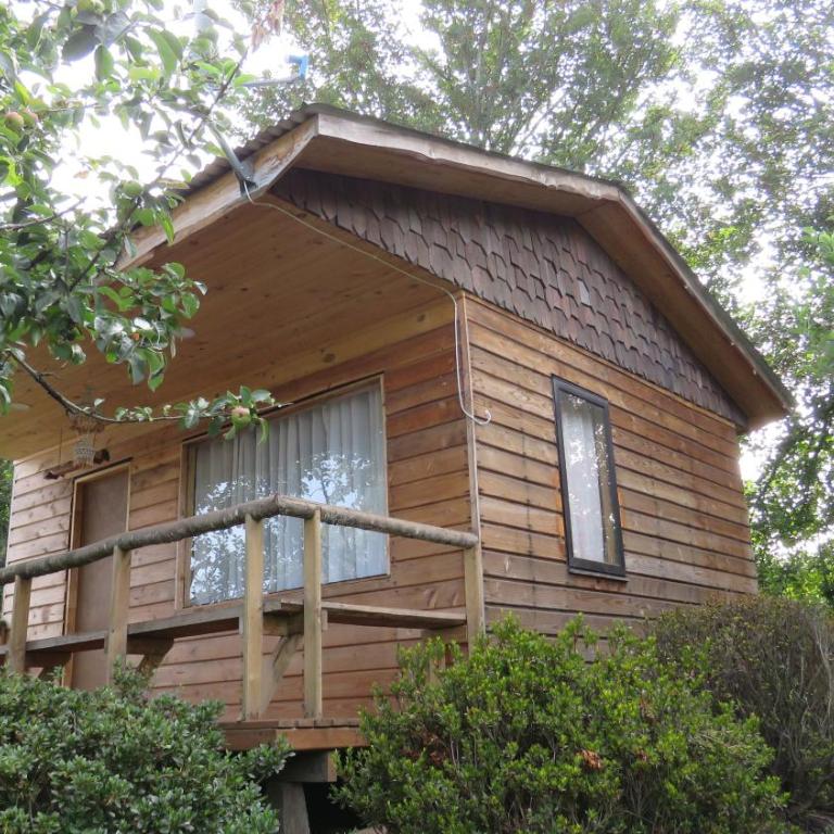 Cabañas Paihuén - One-Bedroom House - 5