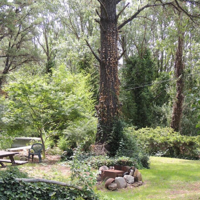 Aldea del bosque - Two-Bedroom Chalet - 5