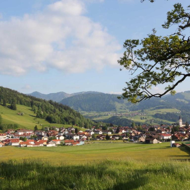 exklusive Fewo Herrmann im "Haus Hochgratblick" - Apartment mit 1 Schlafzimmer und Terrasse - 21