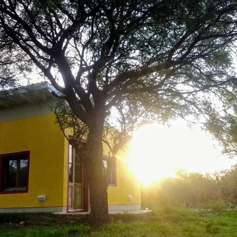 apartamento VINTAGE IVA - Casa - 13