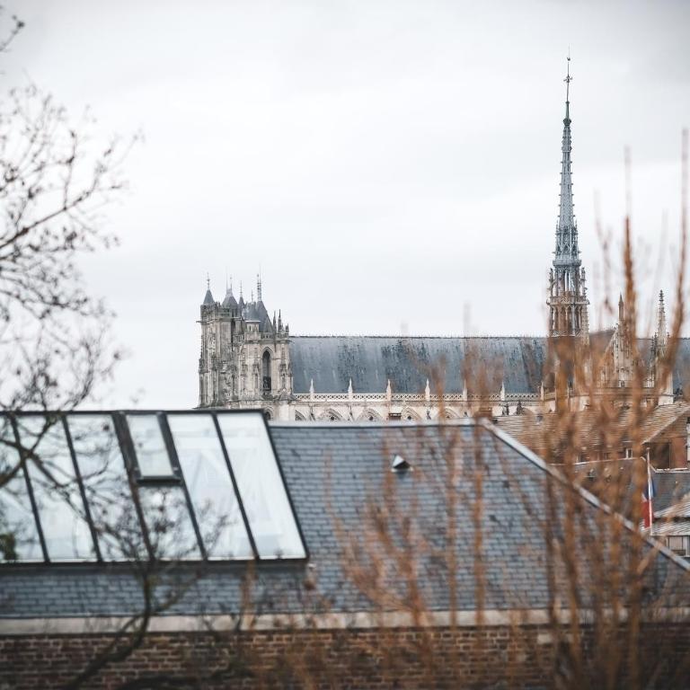 The Nest - Appartement - Vue sur Jardin - 4