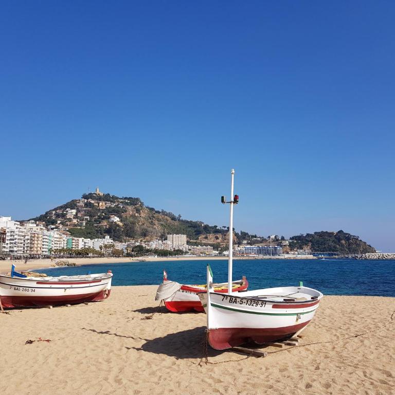 Apartamento Blanes - Apartamento - 20