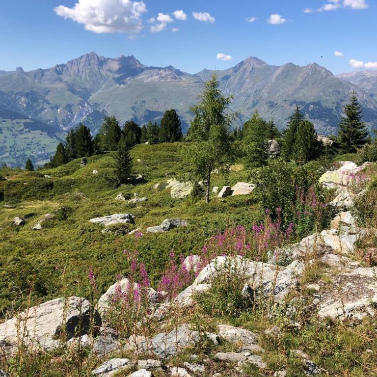 Les ARCS 1600 - SKI AUX PIEDS - MAGNIFIQUE DUPLEX 12 PERSONNES - Appartement - 67